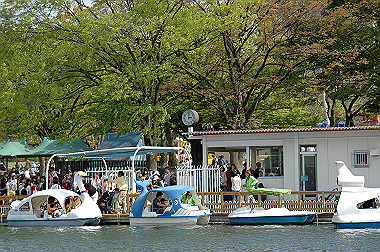 20060505-dsc_0990_thumb.jpg