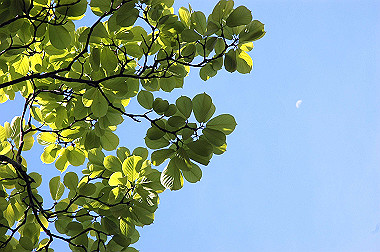 20060505-dsc_1019_thumb.jpg