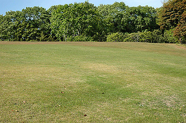 20060505-dsc_1020_thumb.jpg