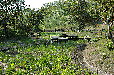20060505-dsc_1027_thumb.jpg
