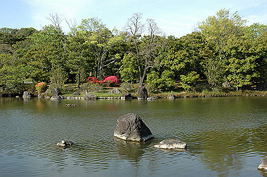 20060505-dsc_1033_thumb.jpg
