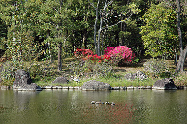 20060505-dsc_1034_thumb.jpg