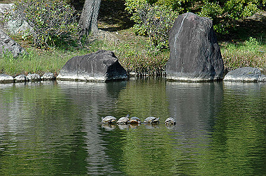 20060505-dsc_1035_thumb.jpg