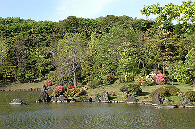 20060505-dsc_1038_thumb.jpg