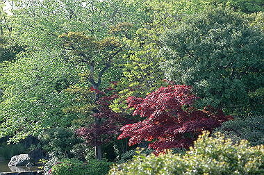 20060505-dsc_1041_thumb.jpg