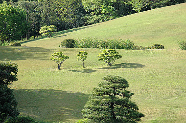 20060505-dsc_1042_thumb.jpg