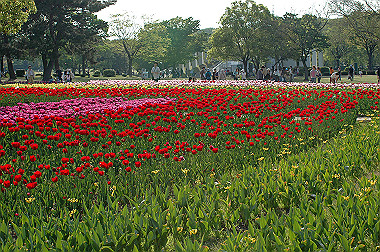20060505-dsc_1049_thumb.jpg