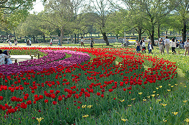 20060505-dsc_1050_thumb.jpg