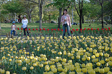 20060505-dsc_1057_thumb.jpg