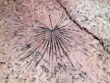 20060831_130_thumb.jpg