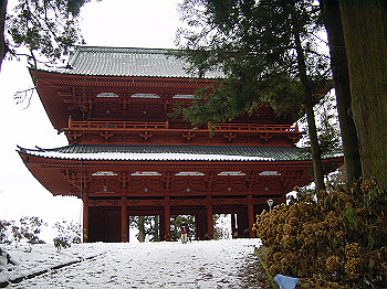 20060104_020_thumb.jpg