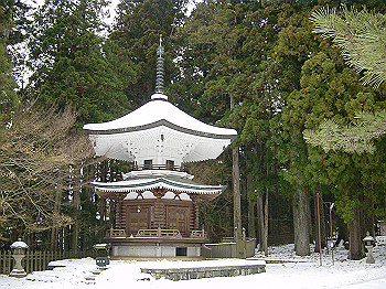 20060104_050_thumb.jpg