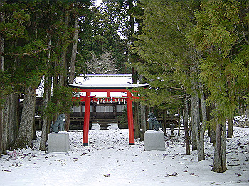 20060104_080_thumb.jpg