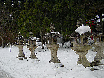 20060104_120_thumb.jpg