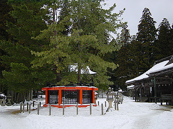 20060104_160_thumb.jpg