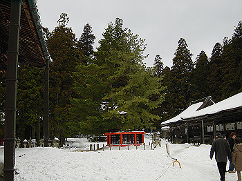 20060104_180_thumb.jpg