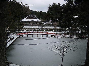 20060104_230_thumb.jpg
