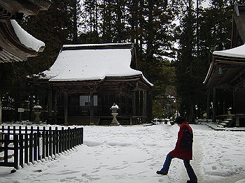 20060104_250_thumb.jpg
