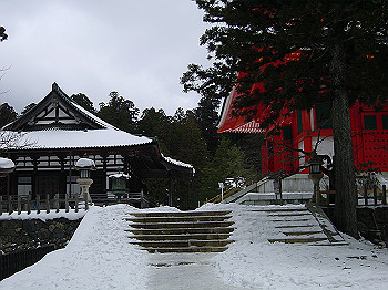 20060104_270_thumb.jpg