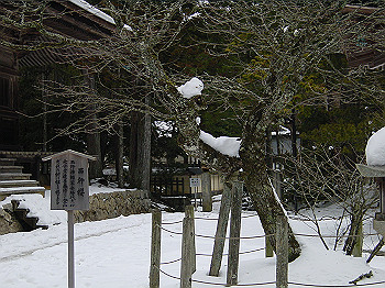 20060104_280_thumb.jpg
