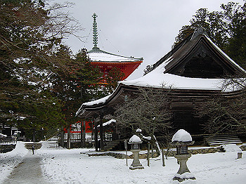 20060104_310_thumb.jpg