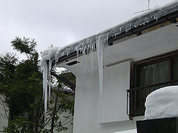 20060104_320_thumb.jpg