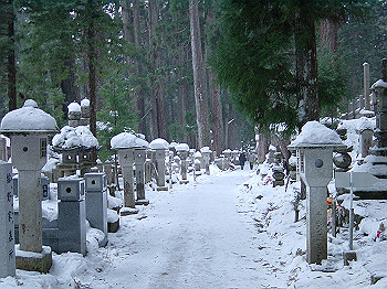 20060104_350_thumb.jpg