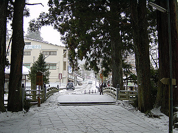 20060104_370_thumb.jpg