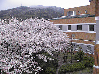 pic_0257_thumb.jpg