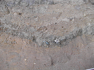 pic_0287_thumb.jpg
