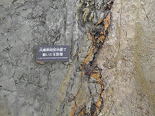 pic_0289_thumb.jpg