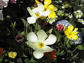 pic_0320_thumb.jpg