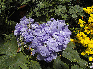 pic_0327_thumb.jpg