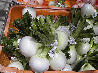 pic_0337_thumb.jpg