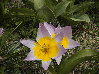 pic_0353_thumb.jpg