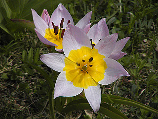 pic_0354_thumb.jpg