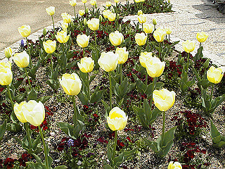 pic_0358_thumb.jpg