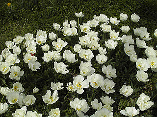 pic_0378_thumb.jpg