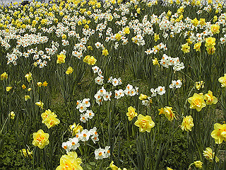 pic_0380_thumb.jpg