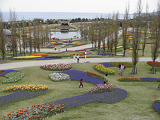 pic_0400_thumb.jpg