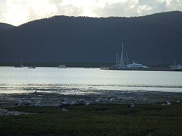 20060811_080_thumb.jpg