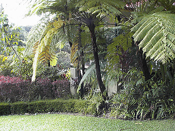 20060811_410_thumb.jpg