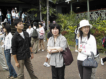 20060811_600_thumb.jpg