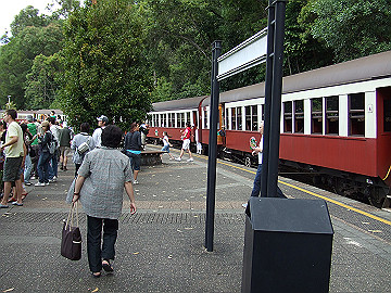 20060811_620_thumb.jpg