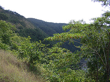 20060811_760_thumb.jpg
