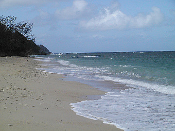20060813_220_thumb.jpg