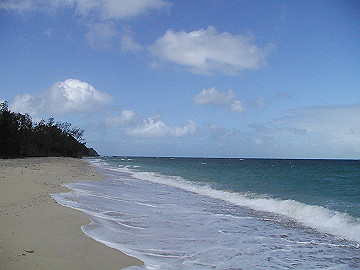 20060813_230_thumb.jpg