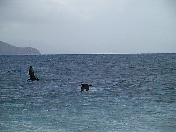 20060813_250_thumb.jpg
