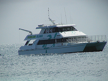 20060813_310_thumb.jpg