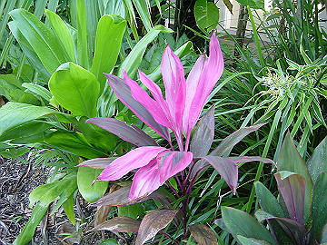 20060814_020_thumb.jpg